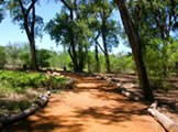 Paseo Del Bosque Trail Rio Bravo