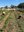 Project Feed the Hood production farm