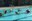 Recreation: Swimming