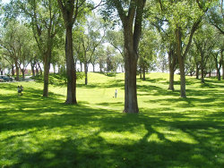 Albuquerque's City parks are open to everyone.