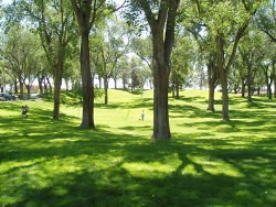 Roosevelt Albuquerque's City parks are open to everyone.