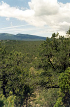 San Antonio Open Space