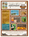 Flyer September OSVC calendar