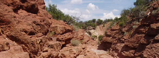 The Golden Open Space in Sandoval County