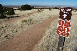 A trail with a sign saying Nature Trail.