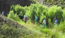 Trails Arroyo Loop Milne