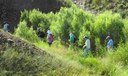 Trails Arroyo Loop Milne