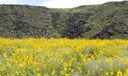 Trails  Boca Negra Canyon