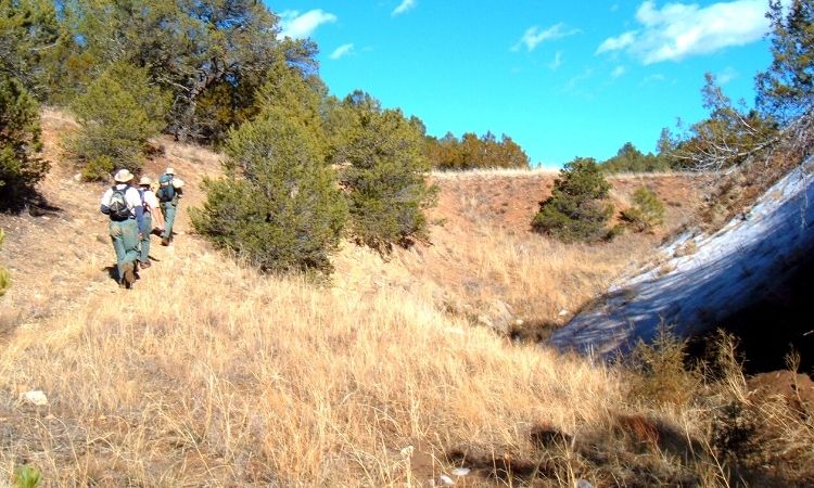 Trails  Milne Canyon Trail