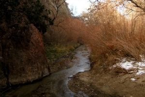 Trails Route 66 Open Space