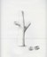 Cube 1