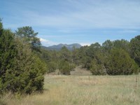 City of Albuquerque to Reopen East Mountain Open Space Properties Friday, July 13