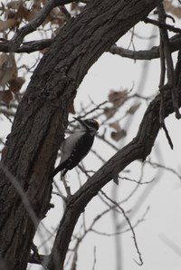 January 2020 Calendar of Events at the Open Space Visitor Center January 2020 Calendar of Events at the Open Space Visitor Center