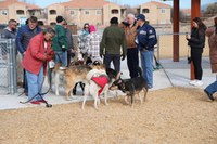 New Dog Park Opened at Vista Del Norte Park