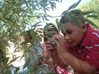 Open Space Explorer Camp Registration Begins Saturday Open Space Explorer Camp Registration Begins Saturday