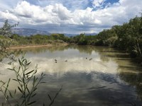 The Open Space News, October - December 2018 The Open Space News, October - December 2018