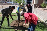 Planting for the Future