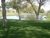 Proposed Municipal Golf Course Greens Fee Increase