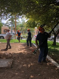 Rio Grande Triangle Dog Park Temporarily Closed for Tree Maintenance Rio Grande Triangle Dog Park Temporarily Closed for Tree Maintenance