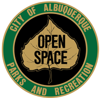Westside Bosque Improvements Underway