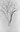 An East Gallery Opening: A Parliament of Trees, with artist Brian Stinson