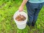 Bucket Composting with Bokashi