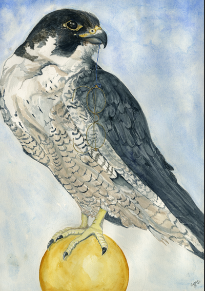 CATHE BLOOMFIELD COLLARD, Artist Presents: Wonders & Wisdom of the Wild