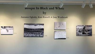 West Gallery Closing Reception- for Bosque in Black and White