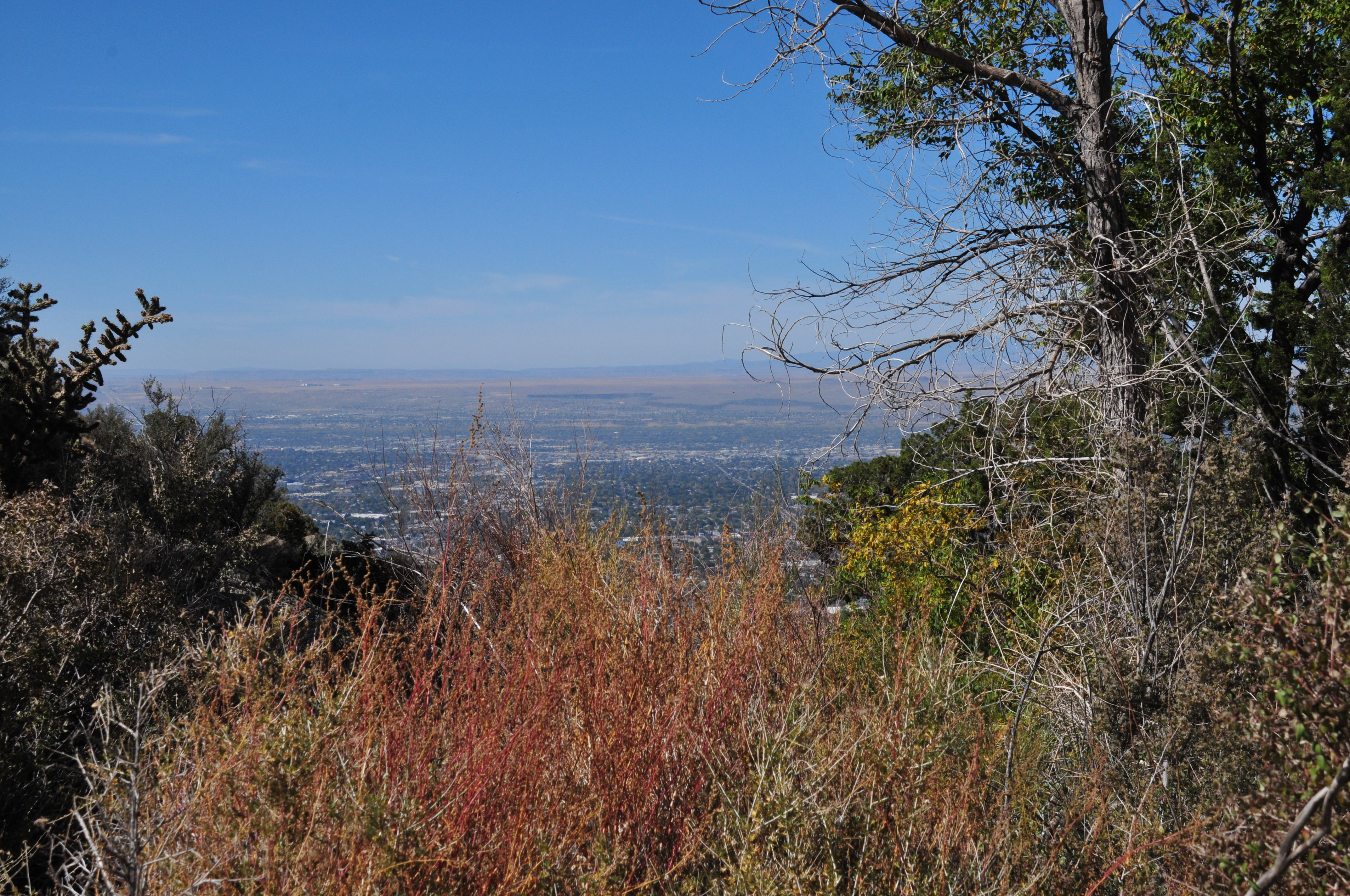Foothills Wild Guided Hike — City of Albuquerque