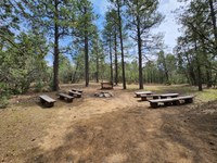 Family Nature Club: Covering Camping (all ages)