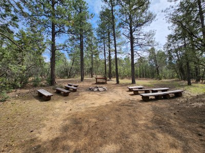 Family Nature Club: Covering Camping (all ages)