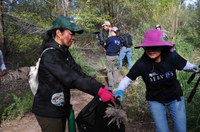 Family Nature Club: Valuable Volunteering (all ages)