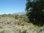 Sharing Our Open Spaces and Trails