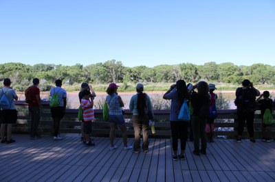 Family Nature Club: In a Flash (all ages)