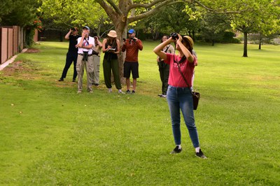 Birdwatching 101: A Beginner’s Guide (18 +)