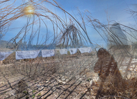 Havaa tum, ghul jaana, kho jaana, mil jaana Lecture and Artist Talk