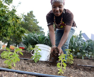 Intro to the Outdoors: Learn to Garden (ages 18+)