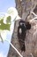 Kid's Nature Poetry