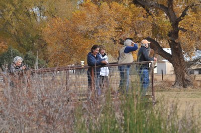 Annual Crane Festival at the Open Space Visitor Center!