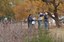 Annual Crane Festival at the Open Space Visitor Center!