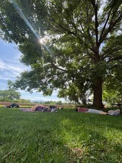 Open Space Visitor Center Presents: Fall Yoga