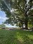 Open Space Visitor Center Presents: Fall Yoga