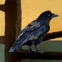 OSVC West Gallery Exhibit: "Between Earth and Sky"