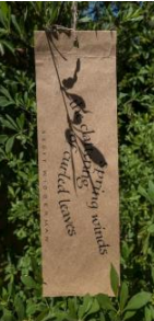 The OSVC Annual Poet's Picnic!