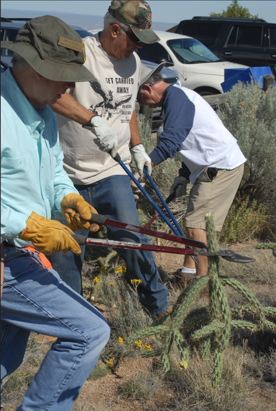 CABQ Open Space Trail Watch Volunteer Training!