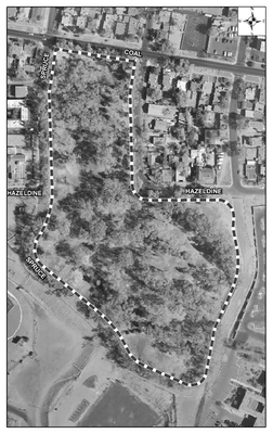 Roosevelt Park Satellite Image