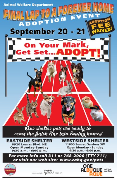 “Final Lap to a Forever Home” Pet Adoption This Weekend