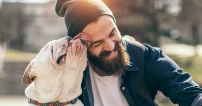 Lucky Paws Adoption Van Is On The Move - PetSmart - Mercantile