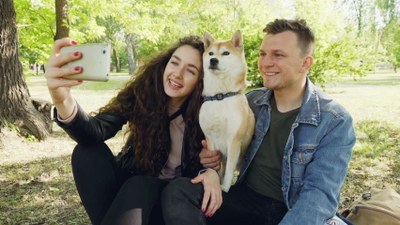 Lucky Paws Adoption Van Is On The Move - PetSmart on Academy