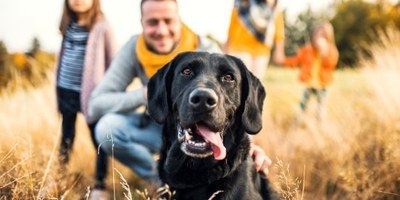 Lucky Paws adoption Van Is On The Move - PetSmart on Coors